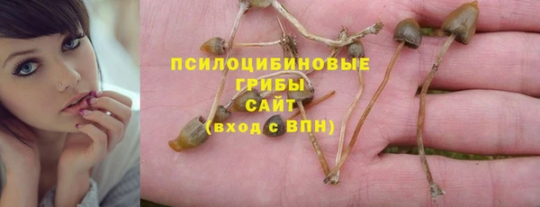 трава Армянск