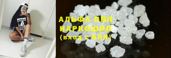 стаф Арсеньев