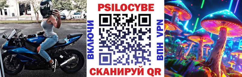купить   Сокол  Псилоцибиновые грибы мицелий 